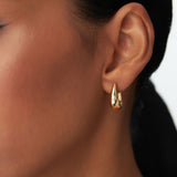 14k Gold Teardrop Hoop Earrings Ferkos Fine Jewelry