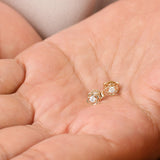 14k Rose Diamond Clover Earrings Ferkos Fine Jewelry