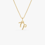 14K Capricorn Zodiac Charm Necklace 14K Gold Ferkos Fine Jewelry