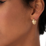 14k Gold Ribbed Dome Hoop Earrings Ferkos Fine Jewelry