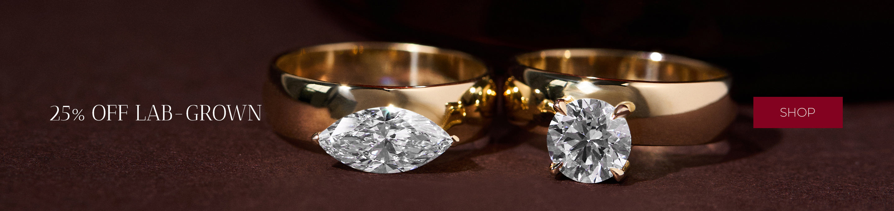 Sample image alt text