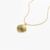 14k Shell Charm Necklace  Ferkos Fine Jewelry